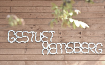 Unsere neue Homepage ist online!