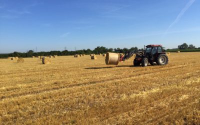 Stroh und Heuernte…