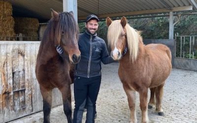 Praktikant/in gesucht!