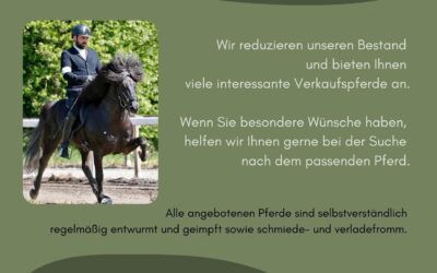 Unsere aktuellen Verkauspferde!